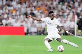 的判断力和 的判断力和